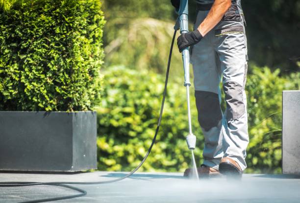 Best Driveway Pressure Washing  in Caro, MI