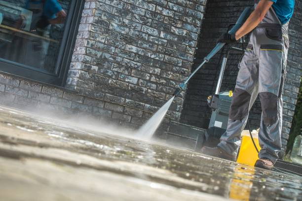 Best Oil Spill Cleanup  in Caro, MI