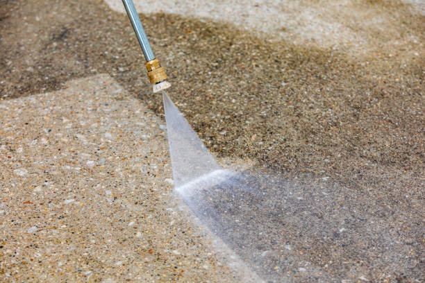 Best Pre-Holiday Cleaning  in Caro, MI